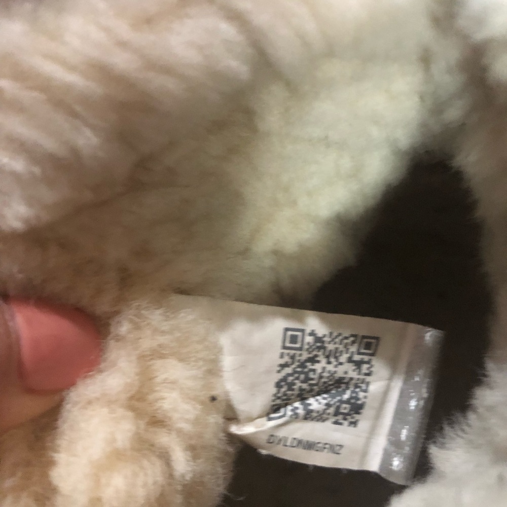 Ugg Mini Boots